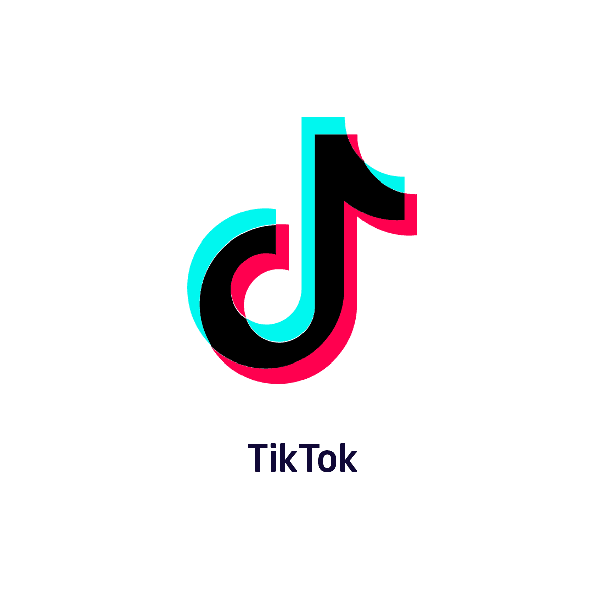 RealtyApp.co 10 TikTok